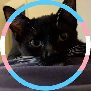 Meet your Posher, Cara